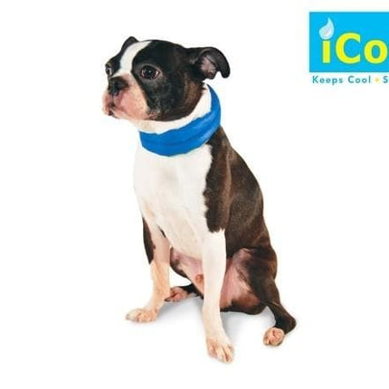 iCool Pet Scarf